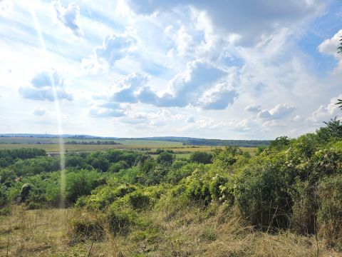 Eladó Telek 7694 Hosszúhetény Hosszúhetényben 3500 nm-es örökpanorámás építési telek