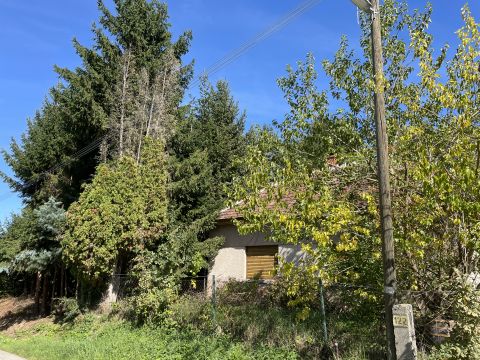 Eladó Ház 9918 Felsőmarác csendes mellékutca