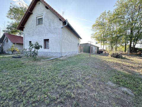 Eladó Ház 6031 Szentkirály , SZENTKIRÁLY SZÉLÉN JÓ ÁLLAPOTÚ,FELÚJÍTOTT TANYA ELADÓ