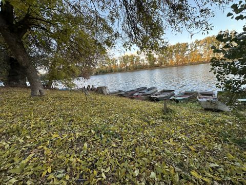 Eladó Telek 6067 Tiszaalpár HOLT-TISZÁHOZ NAGYON KÖZEL ÉPÍTÉSI TELEK ELADÓ