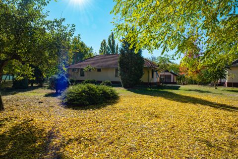 Eladó Ház 6050 Lajosmizse , Egyedülálló birtok Táborfalva határában