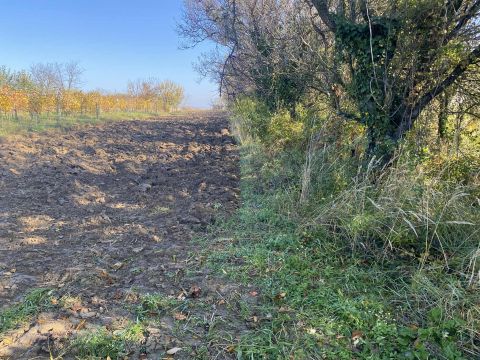 Eladó Telek 8045 Isztimér 