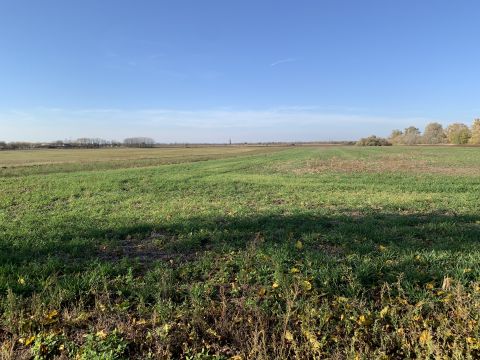 Eladó Telek 8126 Sárszentágota 