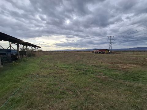 Eladó Ház 2120 Dunakeszi 