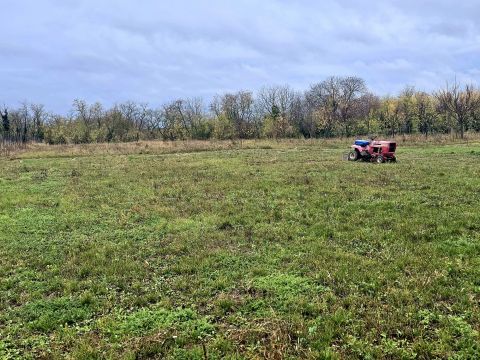 Eladó Telek 7833 Görcsöny 