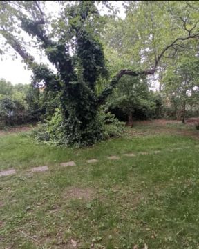 Eladó Telek 1171 Budapest 17. kerület 