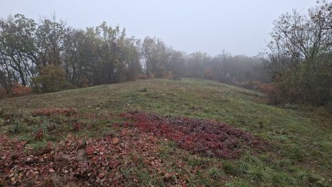 Eladó Telek 8233 Balatonszőlős Fő utca