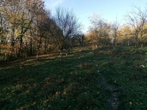 Eladó Telek 8911 Nagykutas 