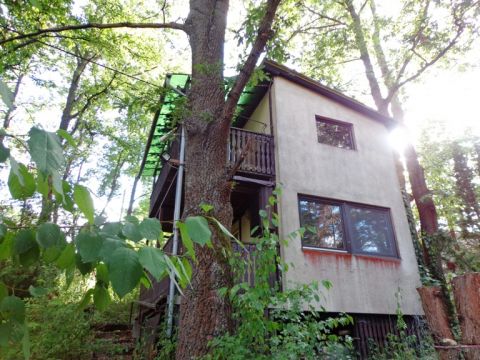 Eladó Ház 2623 Kismaros Börzsönyligeten,könnyűszerkezetes nyaraló