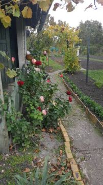 Eladó Telek 8000 Székesfehérvár , Rába