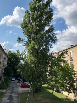 Eladó Lakás 2800 Tatabánya 