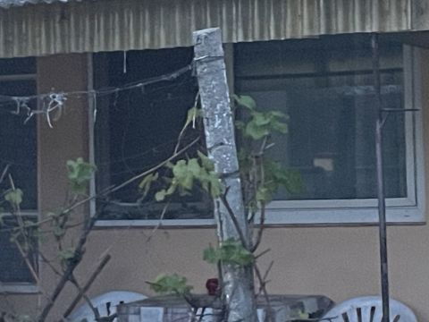 Eladó Ház 6525 Hercegszántó 