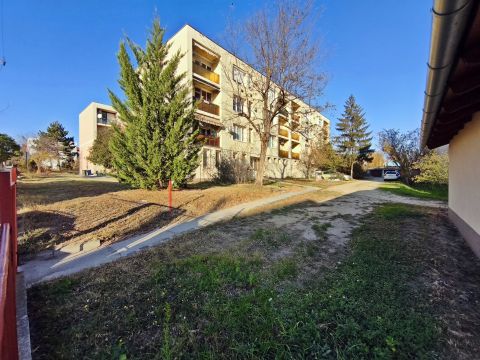 Eladó Lakás 2233 Ecser 