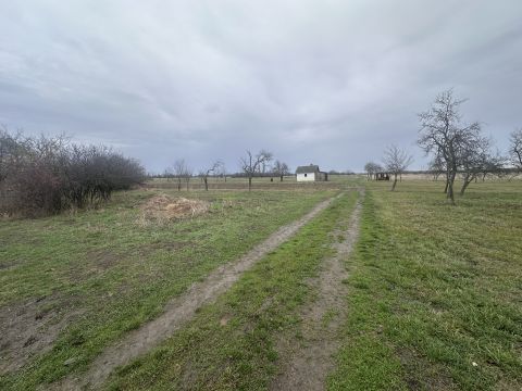 Eladó Telek 5420 Túrkeve 