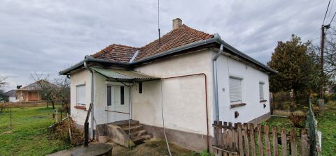 Eladó Ház 2618 Nézsa azonnal költözhető családi ház