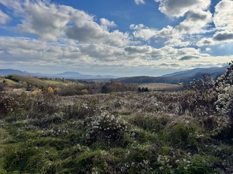 Eladó Telek 8317 Lesencefalu , Nyaraló övezet