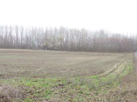 Eladó Telek 2721 Pilis Pilis, 4-es főút, 2721