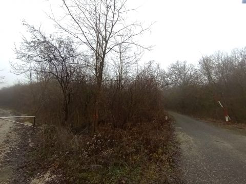 Eladó Telek 2536 Nyergesújfalu , Óvoda utca