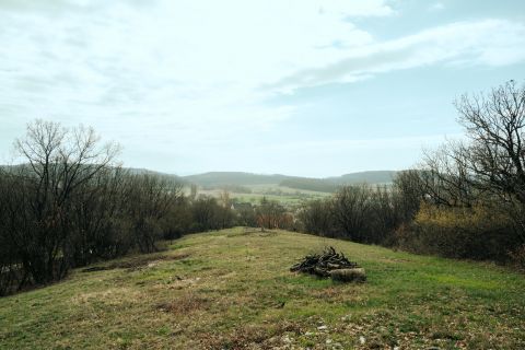 Eladó Telek 8233 Balatonszőlős 