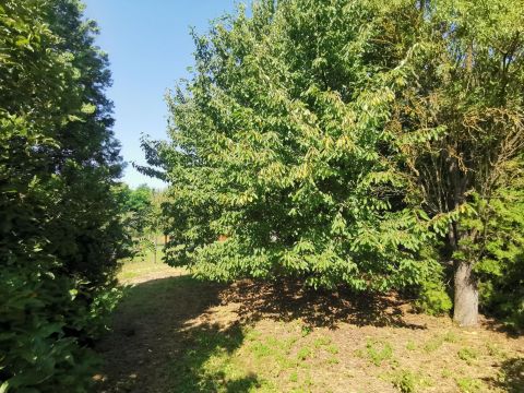 Eladó Telek 8043 Iszkaszentgyörgy 