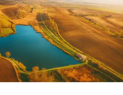Eladó Telek 2244 Úri Működő, bevételt termelő erdő–mező–halastó egyben eladó