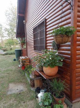 Eladó Ház 2764 Tápióbicske Csendes, természetközeli részen