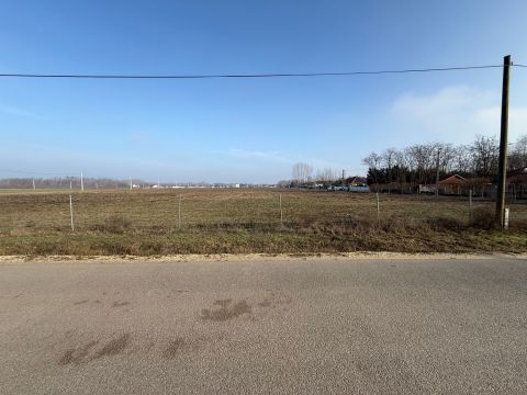 Eladó Telek 6000 Kecskemét Kadafalván, beton út mellett,építési engedéllyel telek eladó