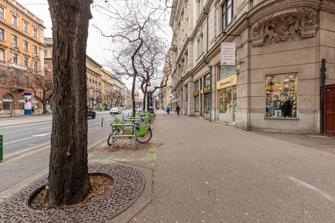 Eladó Üzlethelyiség 1055 Budapest 5. kerület , SZENT ISTVÁN KÖRÚTON belső kétszintes KIVÁLÓ ÁLLAPOTÚ üzlet