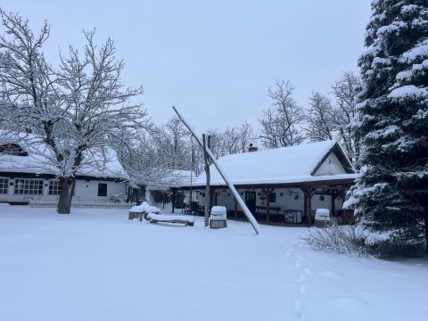 Eladó Ház 2381 Táborfalva , Csodás Tanya Pestmegye határában