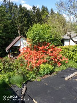 Eladó Telek 9915 Nádasd 