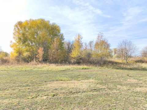 Eladó Telek 2765 Farmos , Tápiószele felé, Nyárvesztőn, belterületen