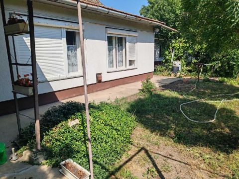 Eladó Ház 5440 Kunszentmárton , 5440 Kunszentmárton, Buszmegálló környékén