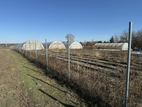 Eladó Telek 6000 Kecskemét 7000 m²-es mezőgazdasági terület ELADÓ