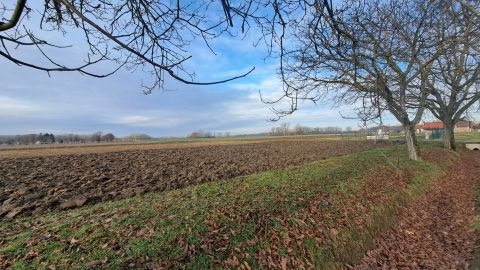 Eladó Telek 7843 Kémes 