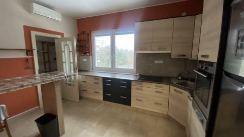 Kiadó Ház 1037 Budapest 3. kerület PRÉMIUM CSALÁDI HÁZ TÁBORHEGYEN KIADÓ!