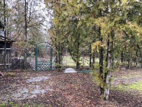 Eladó Telek 2310 Szigetszentmiklós , 2310 Szigetszentmiklós, Bucka