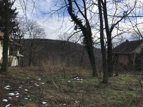 Eladó Telek 8900 Zalaegerszeg 