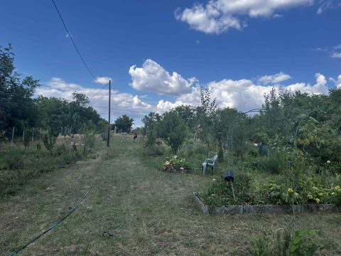 Eladó Telek 2252 Tóalmás 