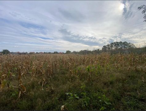 Eladó Telek 9312 Szilsárkány , Fő utca közelében