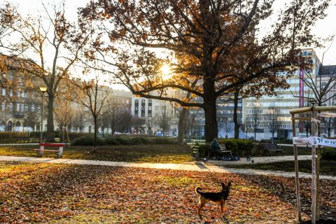 Eladó Lakás 1081 Budapest 8. kerület , Különleges belső kétszintes lakás a II. János Pál pápa téren