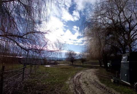 Eladó Mezőgazdasági 2051 Biatorbágy 