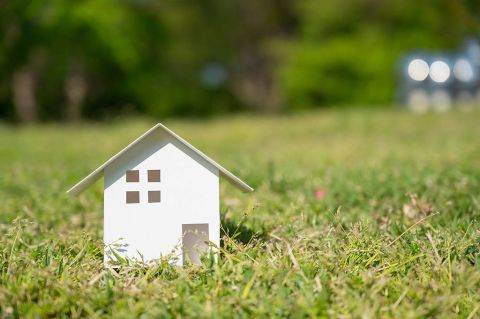 Eladó Telek 8646 Balatonfenyves , Balaton-parti befektetés, azonnali indulással