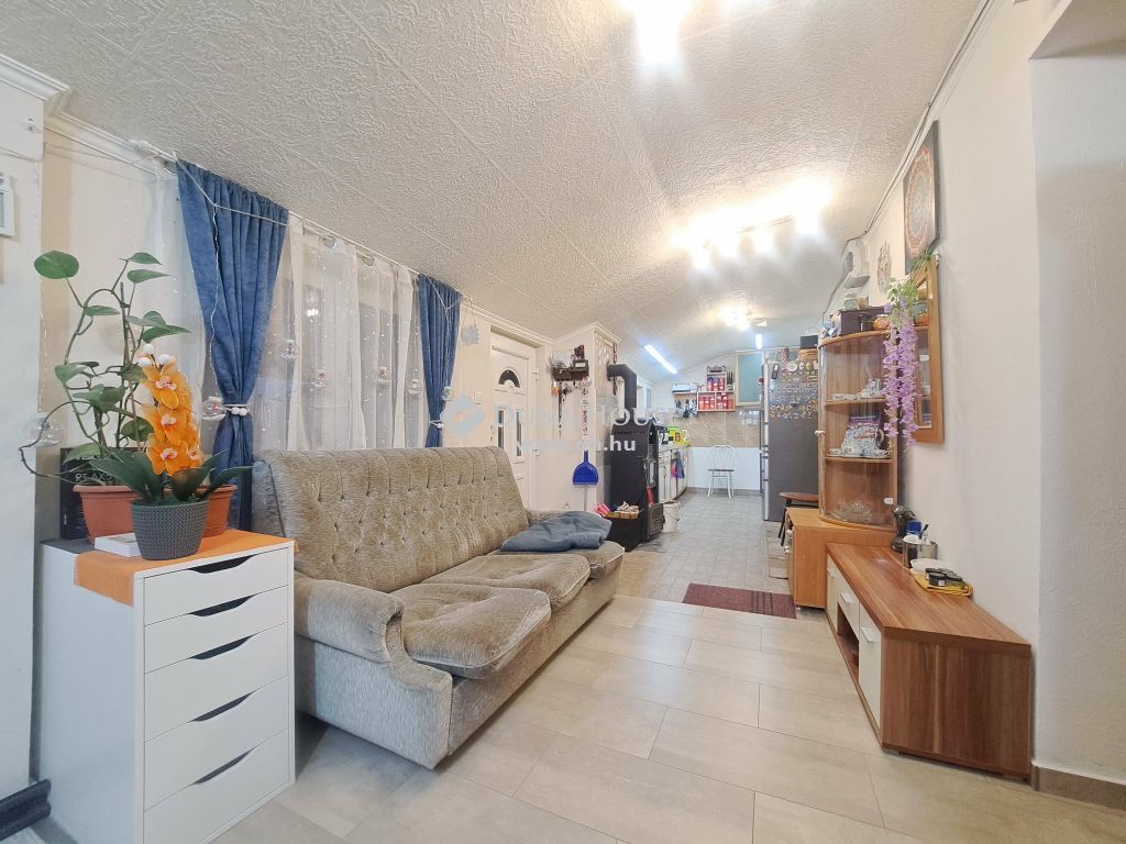 6060 Tiszakécske , ókécske — 1/11