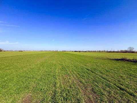 Eladó Telek 2335 Taksony BEFEKTETŐK FIGYELEM! - Kiváló adottságú zártkert Taksonyban!