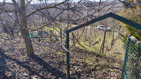 Eladó Telek 7831 Pellérd Pellérd Szőlőhegy