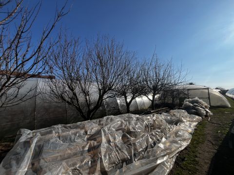 Eladó Ház 5126 Jászfényszaru 