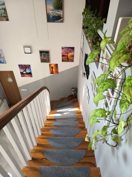 Eladó Ház 9400 Sopron nyugodt mellékutcában