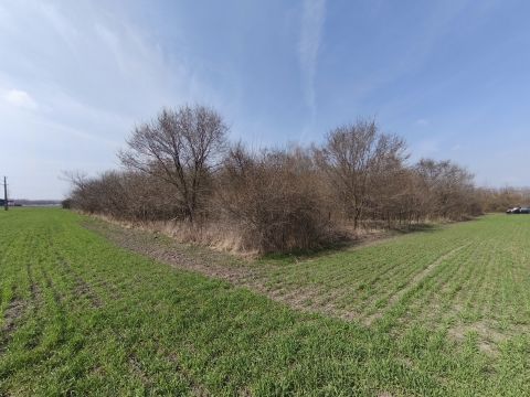 Eladó Telek 6088 Apostag , Apostag zártkerti részén, 864 m2-es telek eladó!