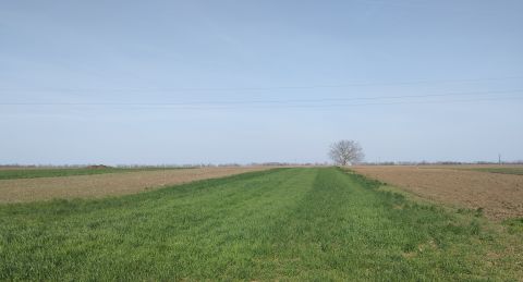 Eladó Telek 8154 Polgárdi 