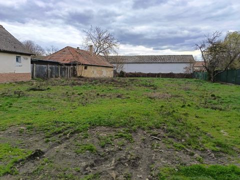 Eladó Telek 2730 Albertirsa , penny